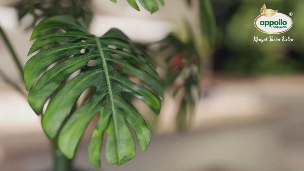 Stack, Store, and Simplify with Easy Stack Jars by Apollo Houseware