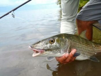 Florida Keys Fly Fishing Bonefish Guide Bonefish guide in the Florida Keys